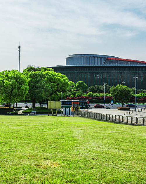 Lush Green Open Spaces